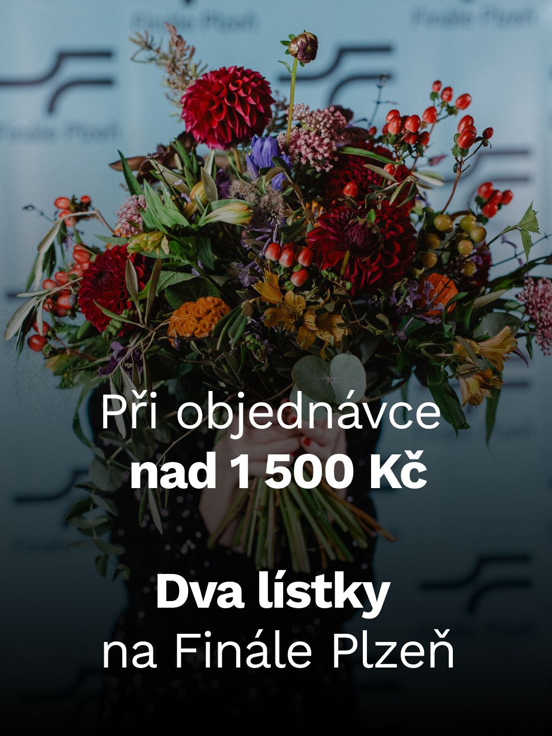 Dva lístky na Finále Plzeň při objednávce nad 1 500 Kč